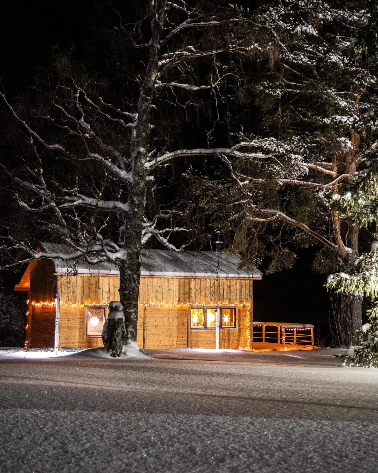 Blueberry Lodge 5 Personnes Mjolan Exteriér fotografie