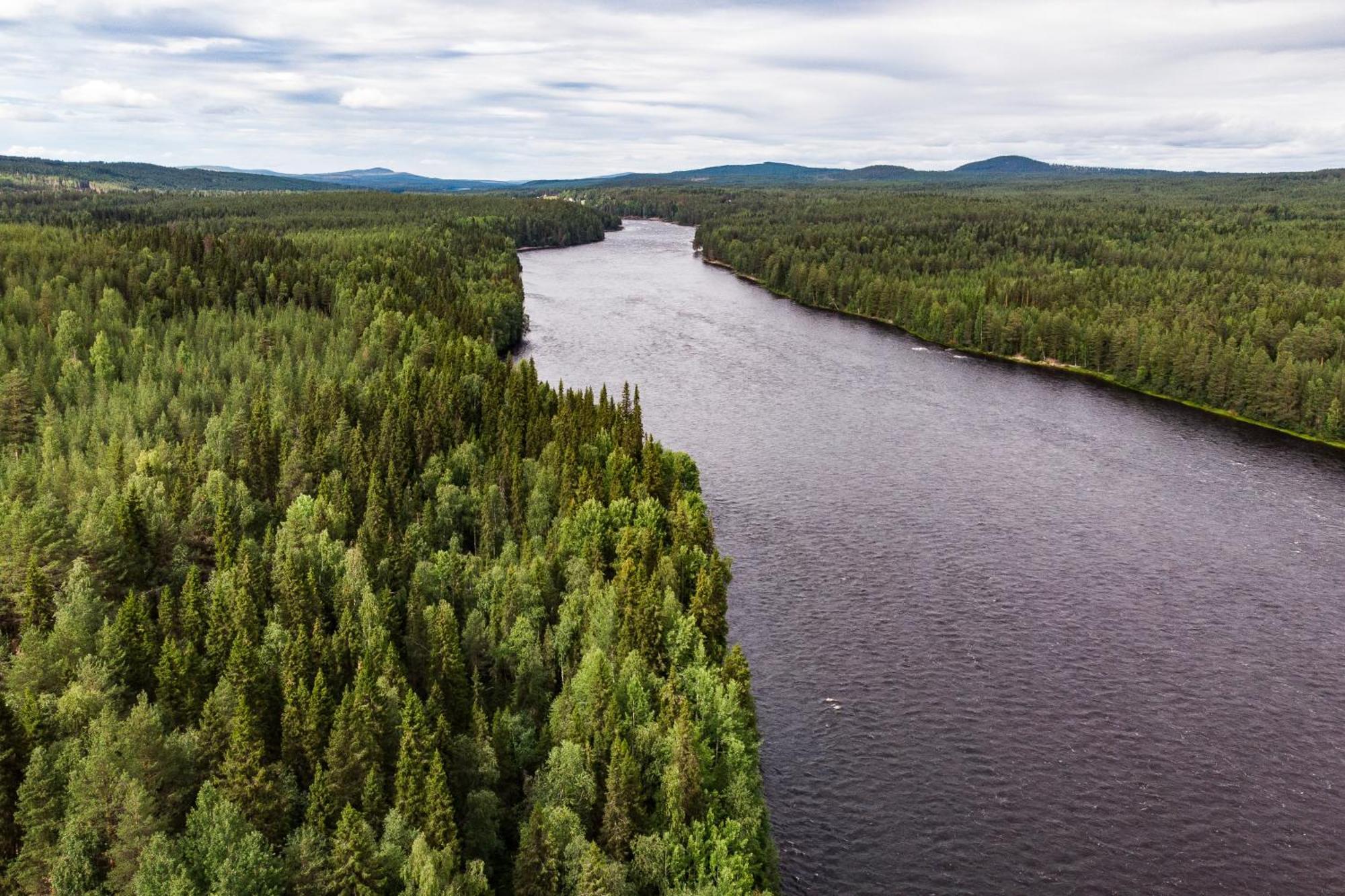 Blueberry Lodge 5 Personnes Mjolan Exteriér fotografie