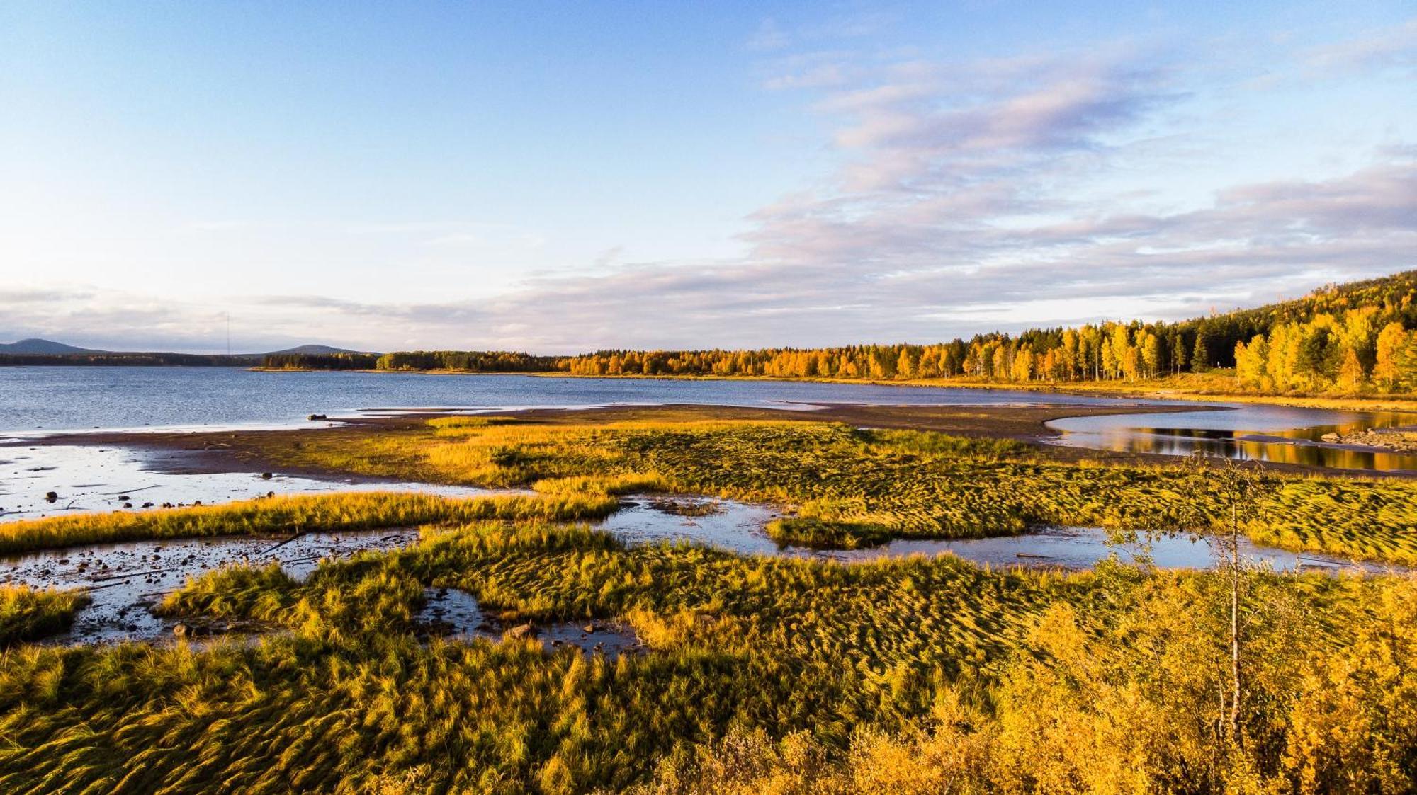 Blueberry Lodge 5 Personnes Mjolan Exteriér fotografie