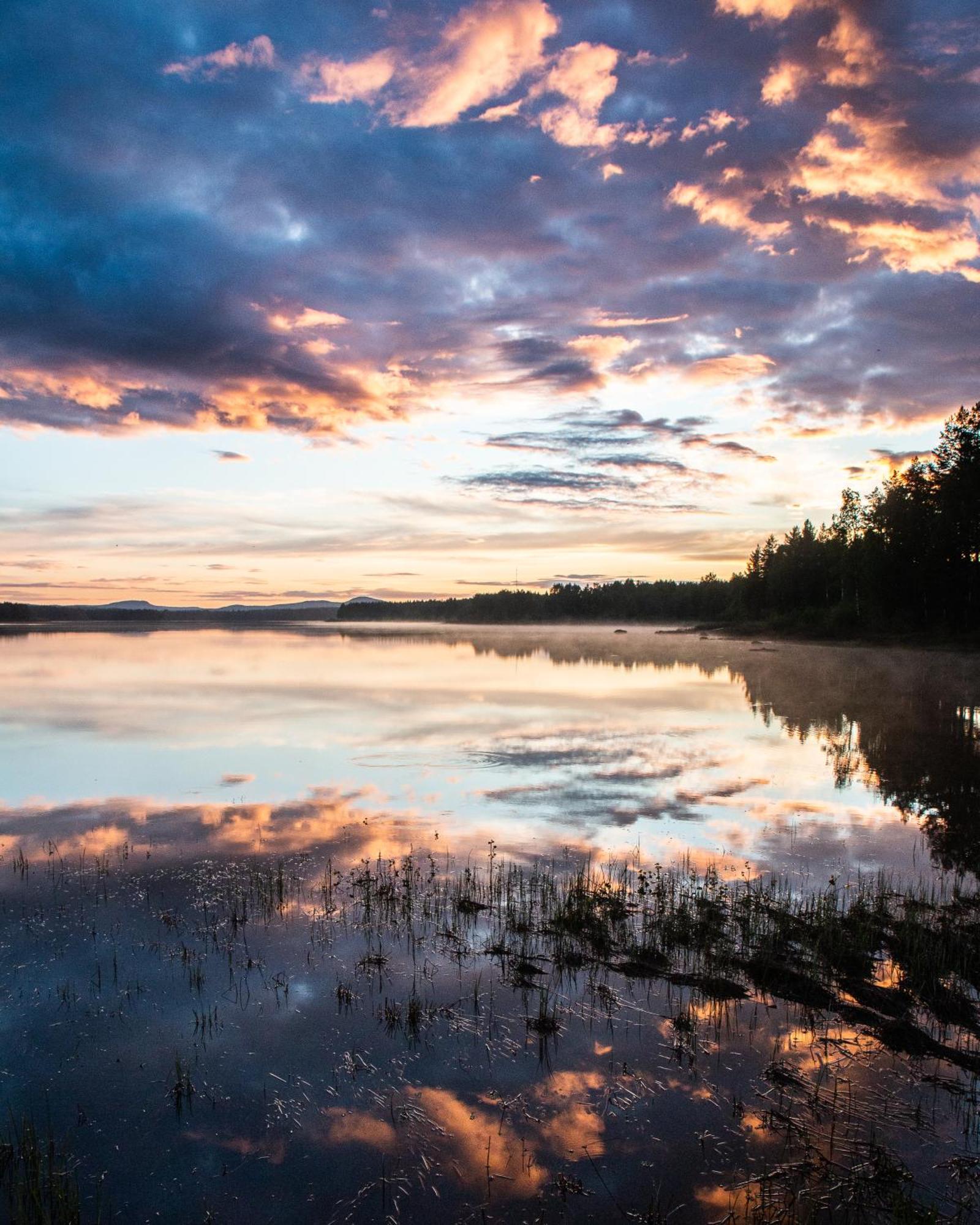 Blueberry Lodge 5 Personnes Mjolan Exteriér fotografie